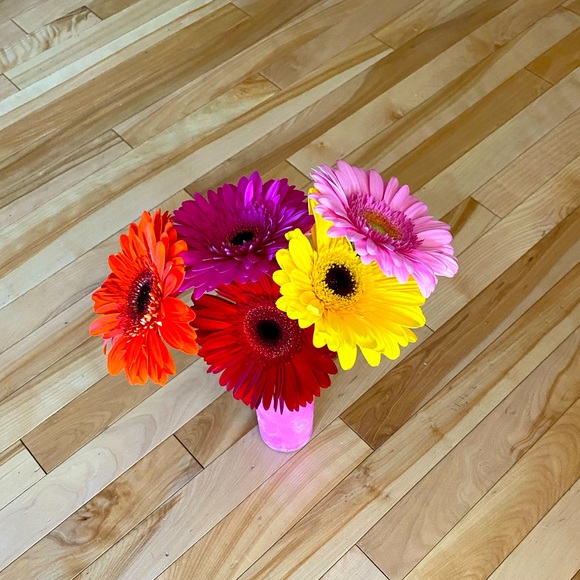 Meet your Posher, Tara - Picture 1 of 1